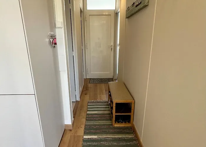 T2 Lumineux Apartment Arcachon